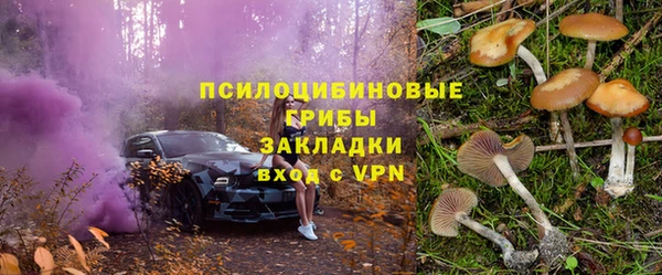 прущий лед Алексин