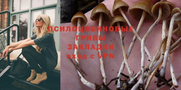 прущий лед Алексин