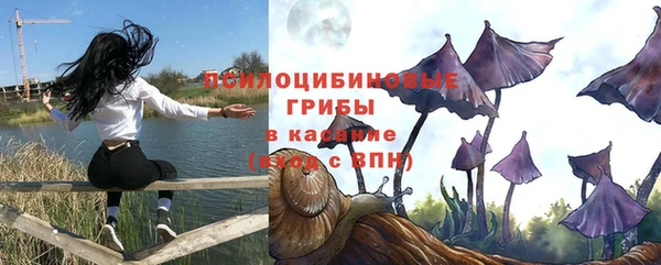 прущий лед Алексин